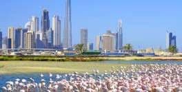 Increase environmental resilience